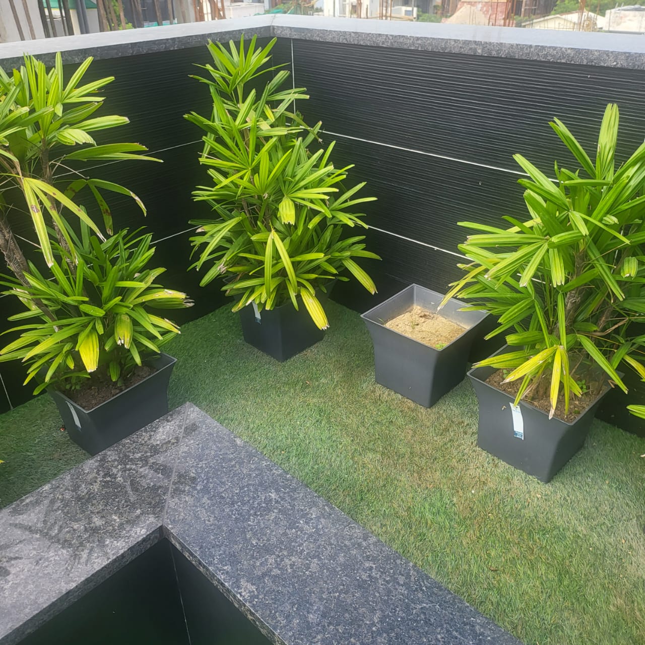  Farm House for sale in Ghitorni, Delhi